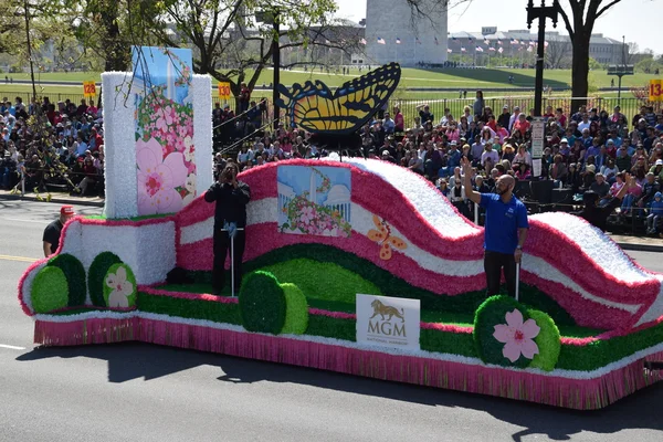 2016 Ulusal Cherry Blossom geçit töreninde Washington Dc