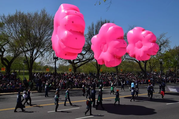 2016 Ulusal Cherry Blossom geçit töreninde Washington Dc
