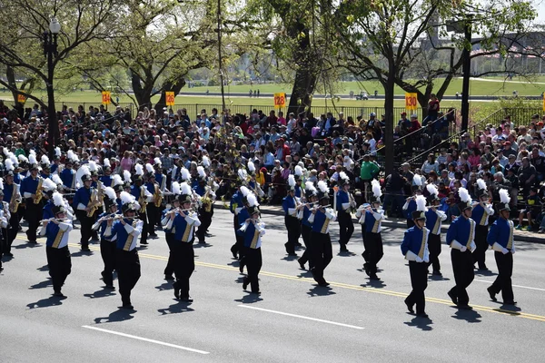 2016 Ulusal Cherry Blossom geçit töreninde Washington Dc