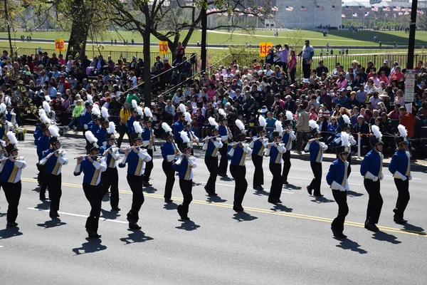 2016 Ulusal Cherry Blossom geçit töreninde Washington Dc