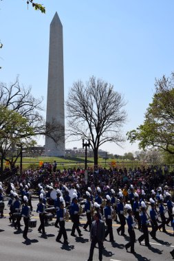 2016 Ulusal Cherry Blossom geçit töreninde Washington Dc