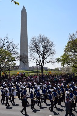 2016 Ulusal Cherry Blossom geçit töreninde Washington Dc
