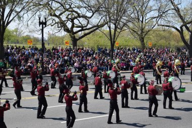 2016 Ulusal Cherry Blossom geçit töreninde Washington Dc