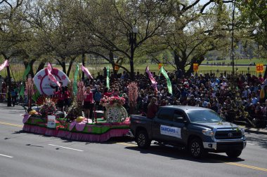 2016 Ulusal Cherry Blossom geçit töreninde Washington Dc