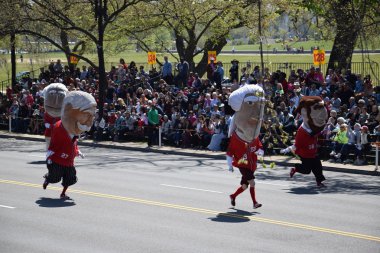 2016 Ulusal Cherry Blossom geçit töreninde Washington Dc
