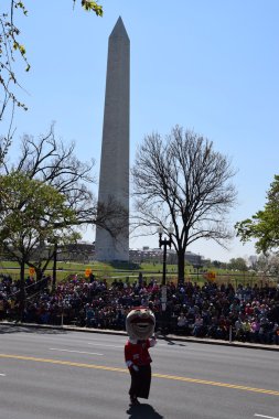2016 Ulusal Cherry Blossom geçit töreninde Washington Dc