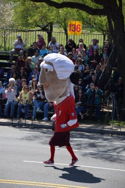 2016 Ulusal Cherry Blossom geçit töreninde Washington Dc