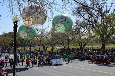 2016 Ulusal Cherry Blossom geçit töreninde Washington Dc