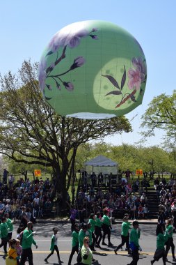 2016 Ulusal Cherry Blossom geçit töreninde Washington Dc