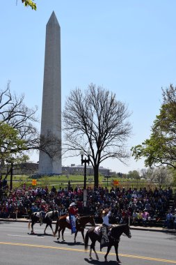 2016 Ulusal Cherry Blossom geçit töreninde Washington Dc