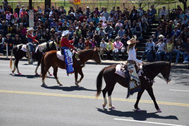 2016 Ulusal Cherry Blossom geçit töreninde Washington Dc