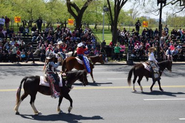 2016 Ulusal Cherry Blossom geçit töreninde Washington Dc