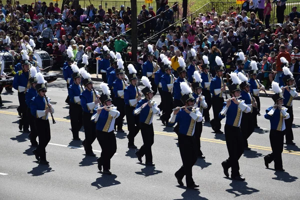 2016 Ulusal Cherry Blossom geçit töreninde Washington Dc