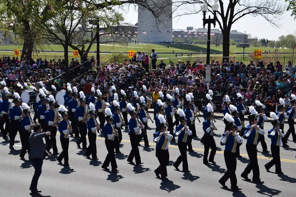 2016 Ulusal Cherry Blossom geçit töreninde Washington Dc