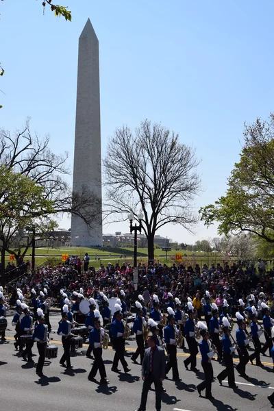 2016 Ulusal Cherry Blossom geçit töreninde Washington Dc