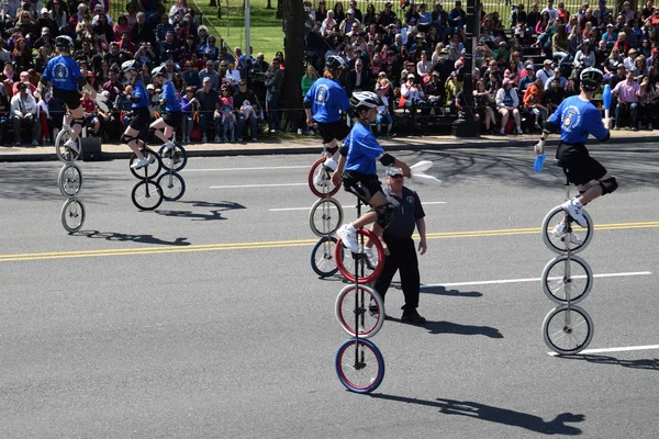 2016 Ulusal Cherry Blossom geçit töreninde Washington Dc