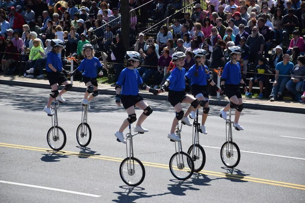 2016 Ulusal Cherry Blossom geçit töreninde Washington Dc