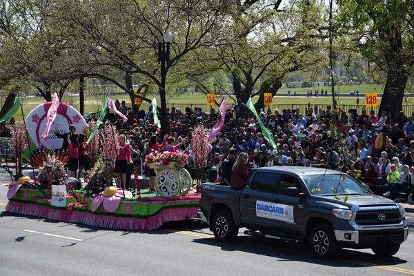 2016 Ulusal Cherry Blossom geçit töreninde Washington Dc