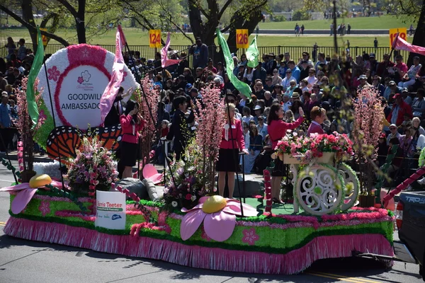 Национальный парад цветения сакуры в Вашингтоне — стоковое фото