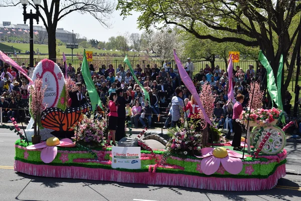 2016 Ulusal Cherry Blossom geçit töreninde Washington Dc