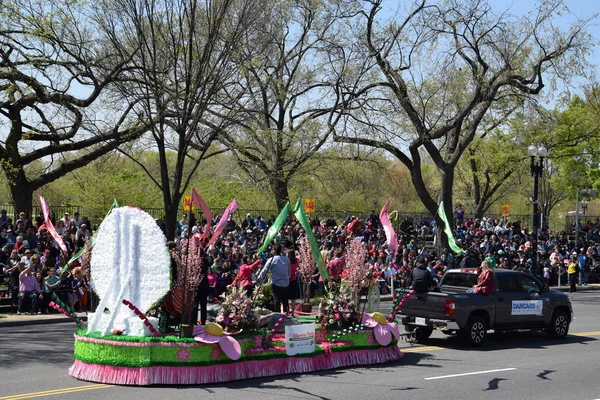 2016 Ulusal Cherry Blossom geçit töreninde Washington Dc
