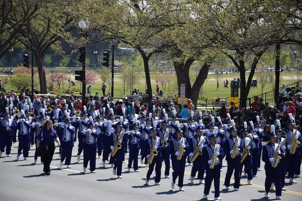 Défilé national des cerisiers 2016 à Washington DC — Photo