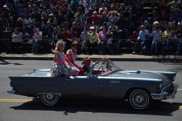 2016 Ulusal Cherry Blossom geçit töreninde Washington Dc