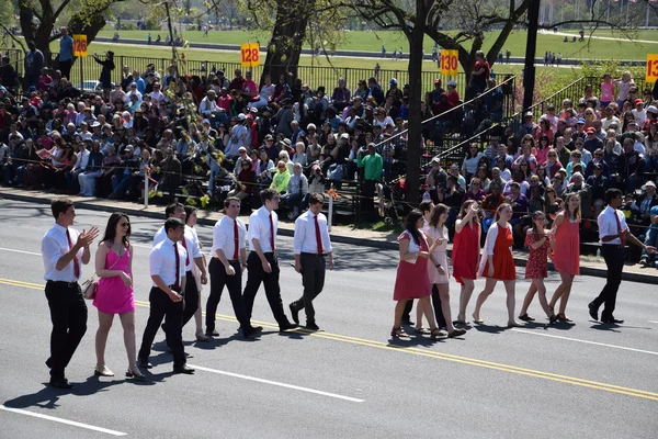 2016 Ulusal Cherry Blossom geçit töreninde Washington Dc