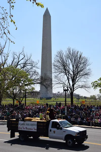 2016 Ulusal Cherry Blossom geçit töreninde Washington Dc