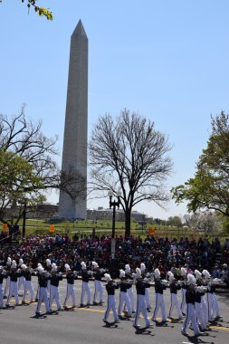 2016 Ulusal Cherry Blossom geçit töreninde Washington Dc