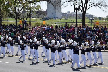 2016 Ulusal Cherry Blossom geçit töreninde Washington Dc