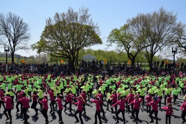 2016 Ulusal Cherry Blossom geçit töreninde Washington Dc