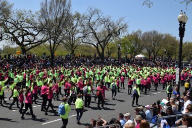 2016 Ulusal Cherry Blossom geçit töreninde Washington Dc