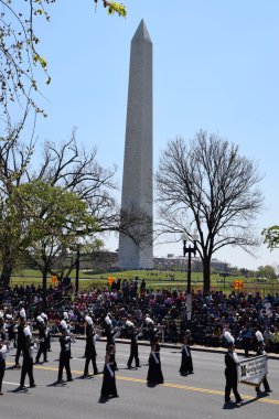 2016 Ulusal Cherry Blossom geçit töreninde Washington Dc