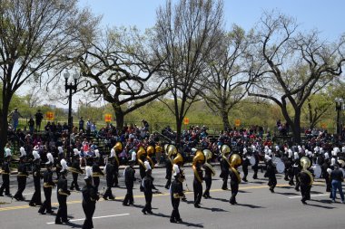 2016 Ulusal Cherry Blossom geçit töreninde Washington Dc