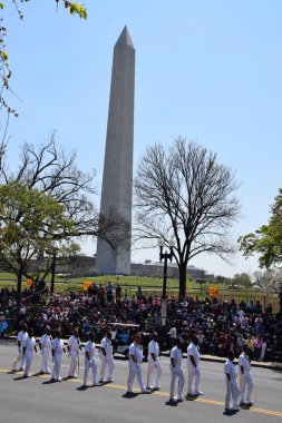 2016 Ulusal Cherry Blossom geçit töreninde Washington Dc