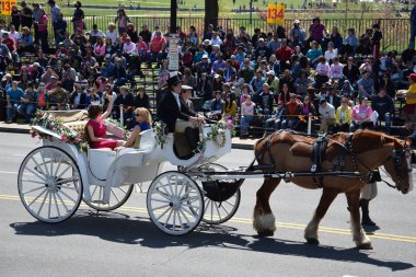 2016 Ulusal Cherry Blossom geçit töreninde Washington Dc