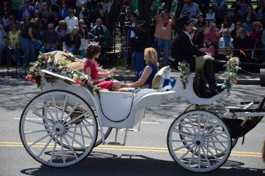 2016 Ulusal Cherry Blossom geçit töreninde Washington Dc