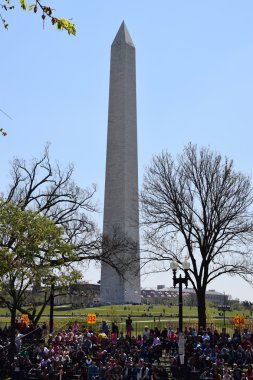 2016 Ulusal Cherry Blossom geçit töreninde Washington Dc