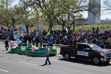 2016 Ulusal Cherry Blossom geçit töreninde Washington Dc