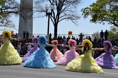 2016 Ulusal Cherry Blossom geçit töreninde Washington Dc
