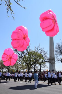 2016 Ulusal Cherry Blossom geçit töreninde Washington Dc