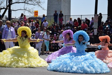 2016 Ulusal Cherry Blossom geçit töreninde Washington Dc