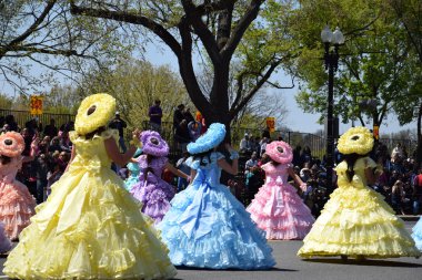 2016 Ulusal Cherry Blossom geçit töreninde Washington Dc