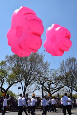 2016 Ulusal Cherry Blossom geçit töreninde Washington Dc