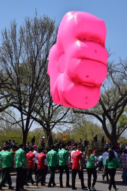 2016 Ulusal Cherry Blossom geçit töreninde Washington Dc