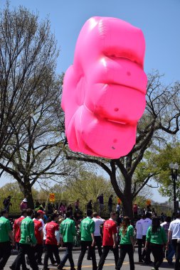 2016 Ulusal Cherry Blossom geçit töreninde Washington Dc
