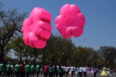 2016 Ulusal Cherry Blossom geçit töreninde Washington Dc