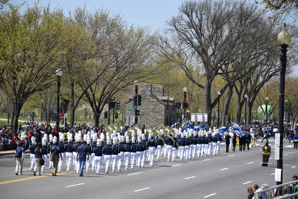 2016 Ulusal Cherry Blossom geçit töreninde Washington Dc