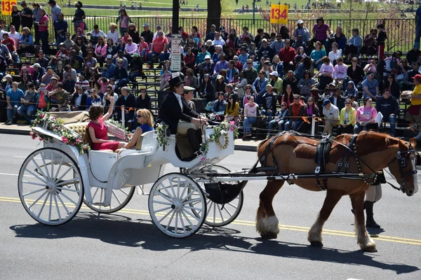 2016 nationale kersenbloesem Parade in Washington Dc — Stockfoto